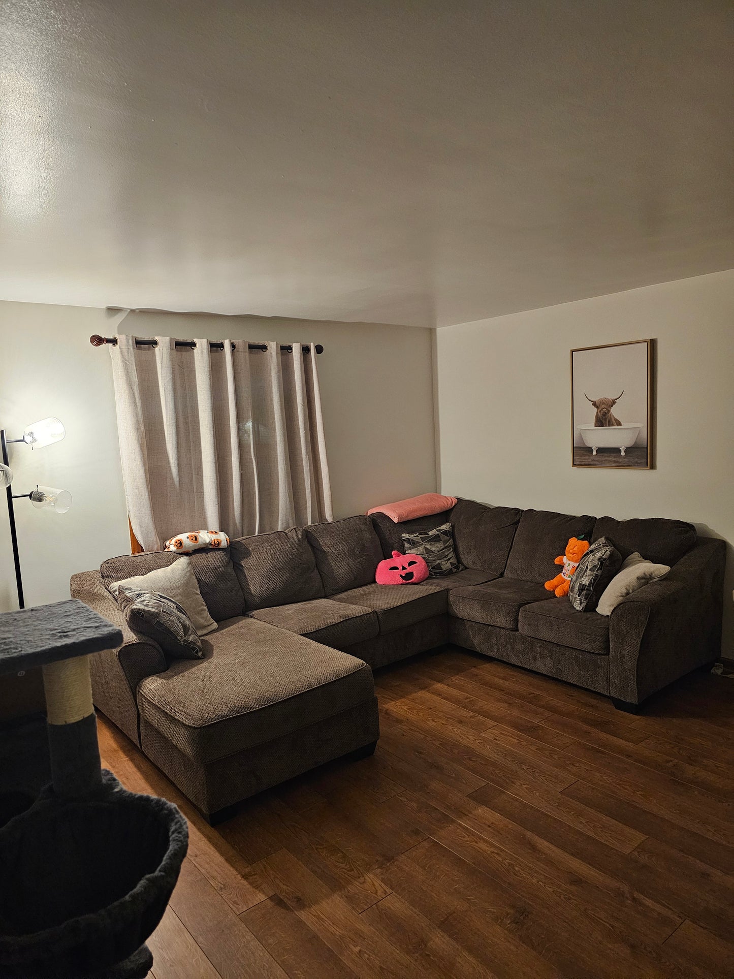 Flooring Installation